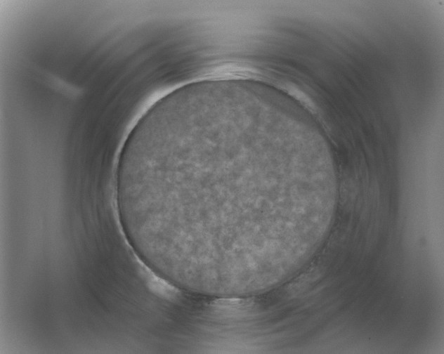 X0000062791478200601051033