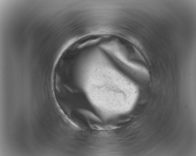 X0000062791480200601051033