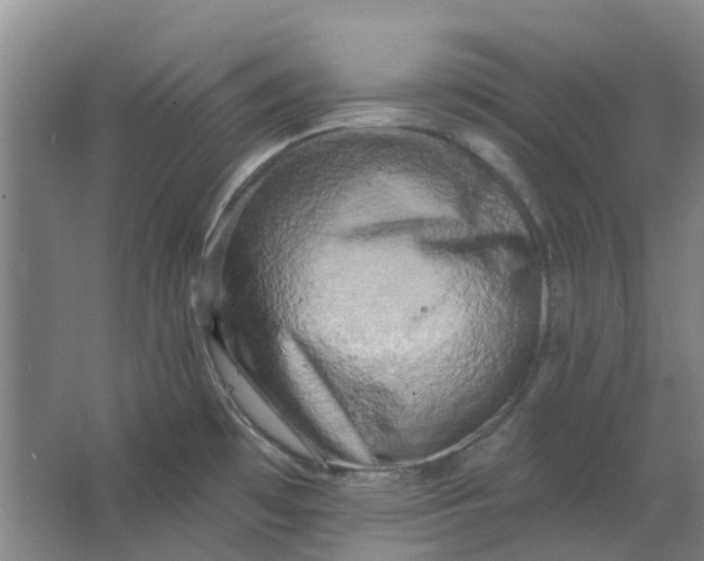 X0000062791481200601051033