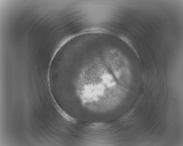 X0000062791482200601051033