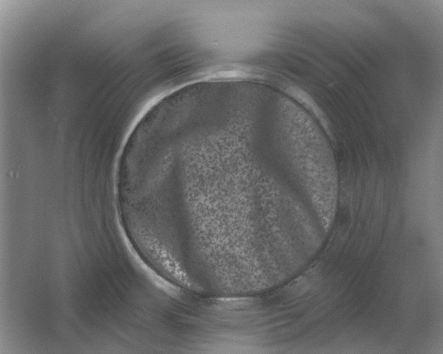 X0000062791483200601051033