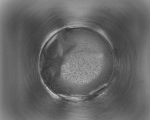 X0000062791485200601051033