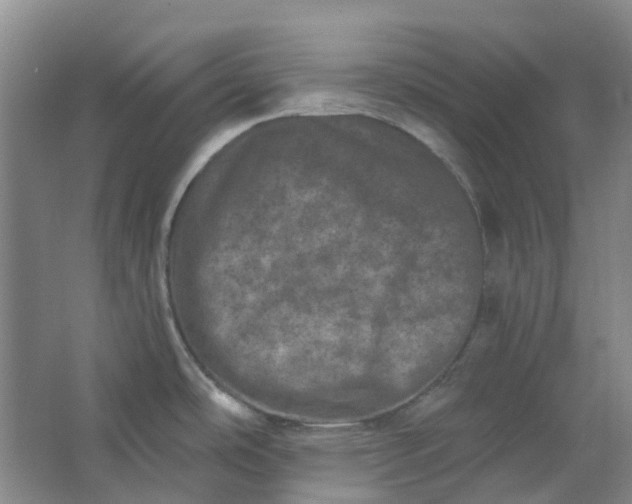 X0000062791486200601051033