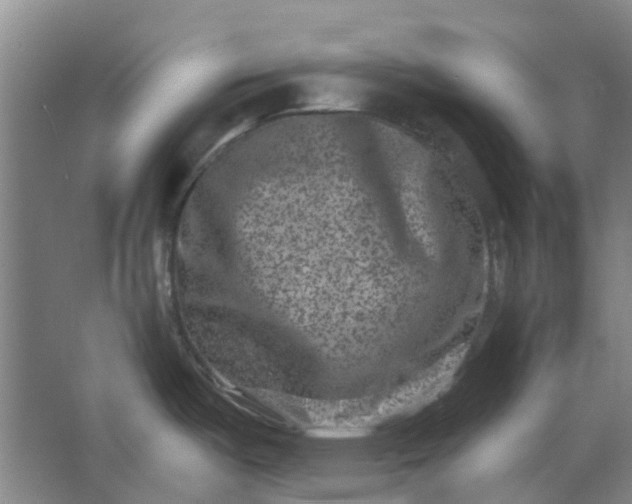 X0000062791487200601051033