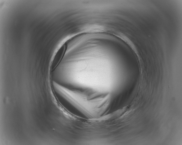 X0000062791488200601051032