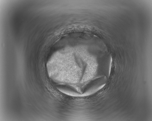 X0000062791489200601051032