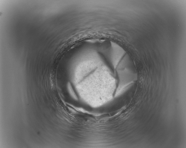 X0000062791490200601051032