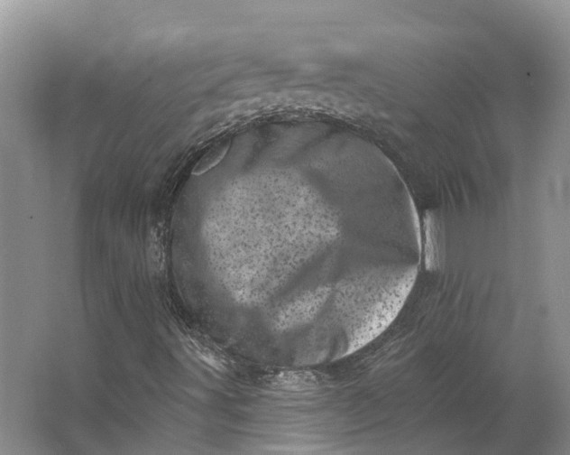 X0000062791491200601051032