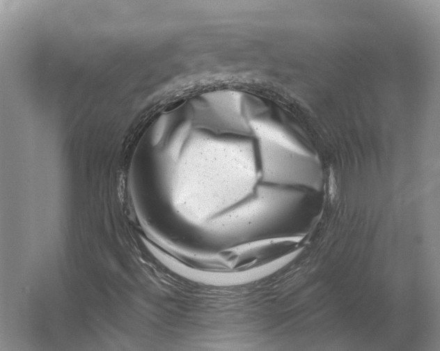 X0000062791492200601051032