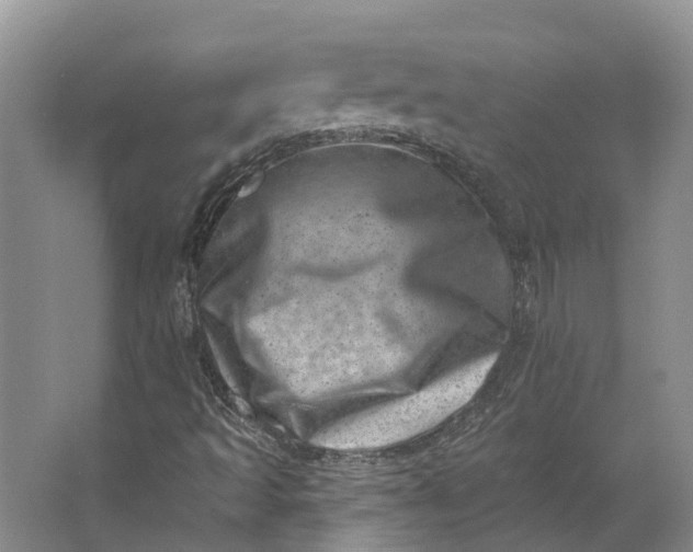 X0000062791493200601051032