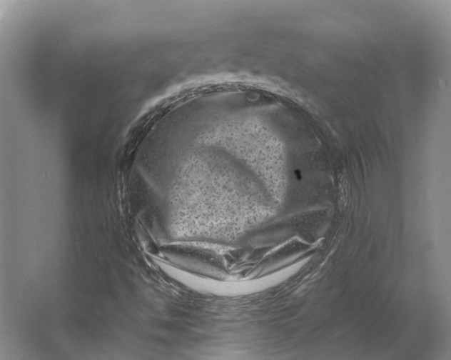 X0000062791494200601051032