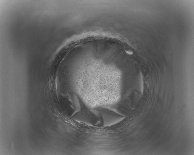 X0000062791495200601051032