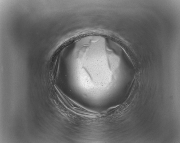 X0000062791496200601051032