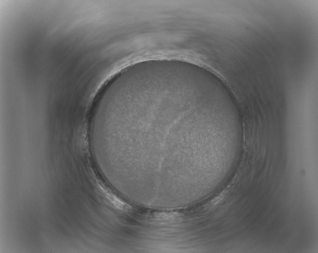 X0000062791498200601051032