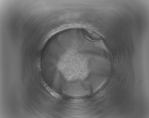 X0000062791499200601051032