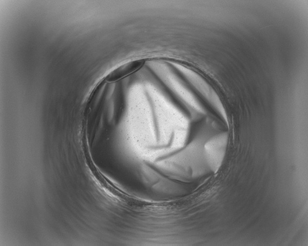 X0000062791500200601051032