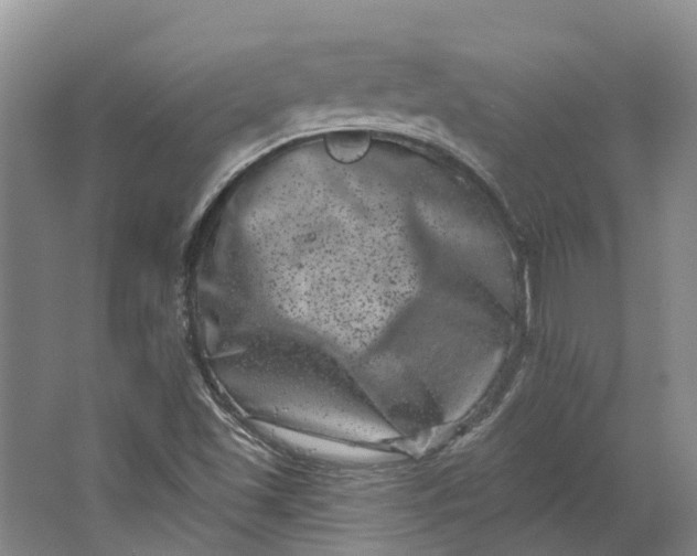 X0000062791501200601051032