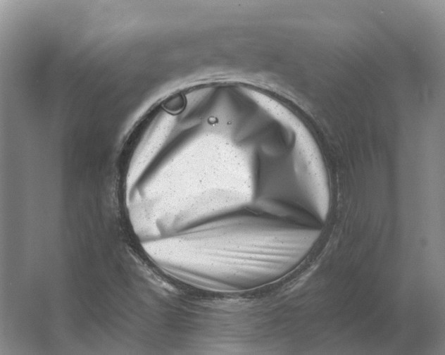 X0000062791502200601051032