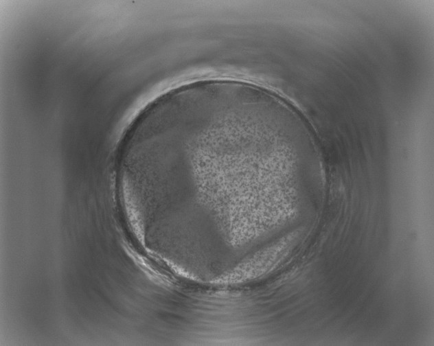 X0000062791503200601051032