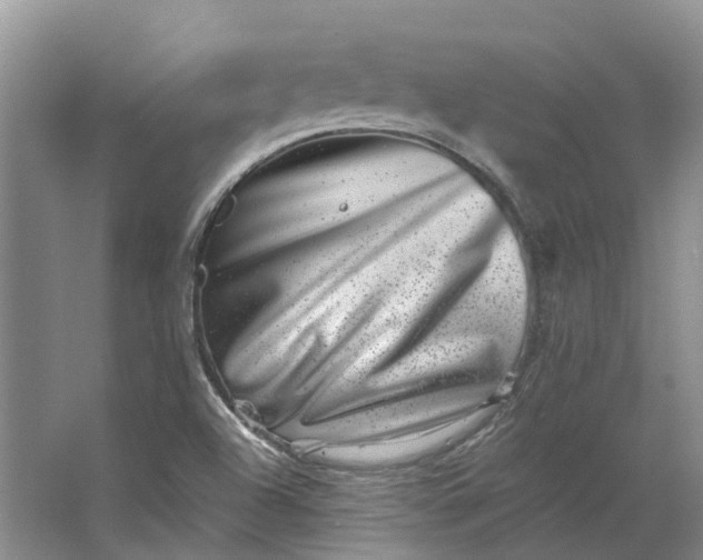 X0000062791504200601051032