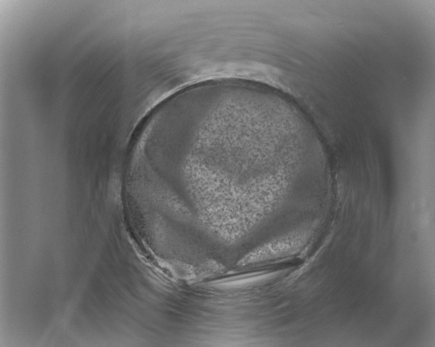 X0000062791505200601051032