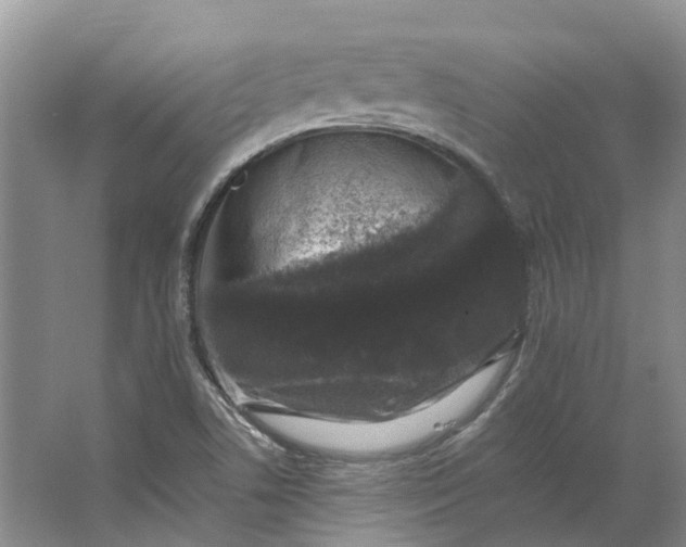 X0000062791506200601051032