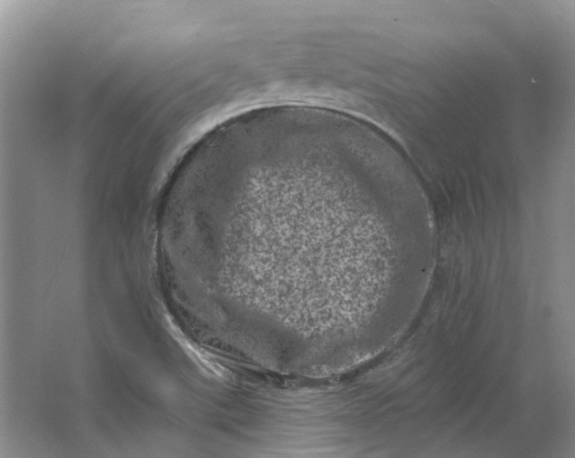 X0000062791507200601051032