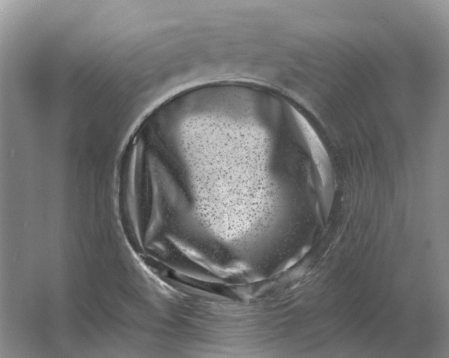 X0000062791508200601051032