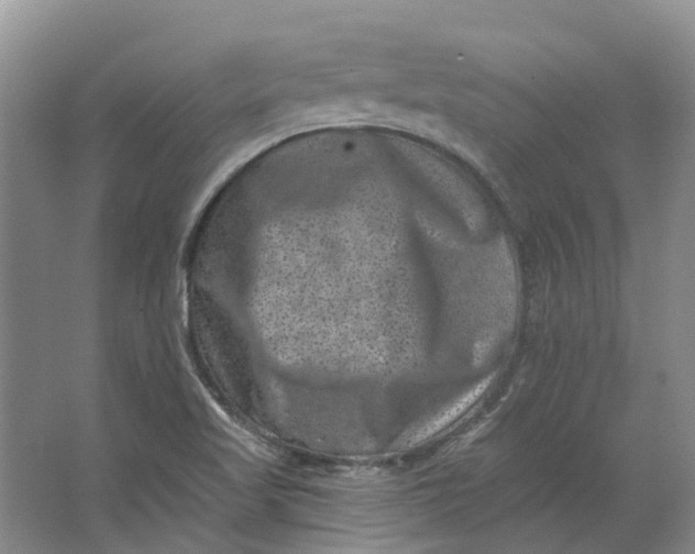 X0000062791509200601051032