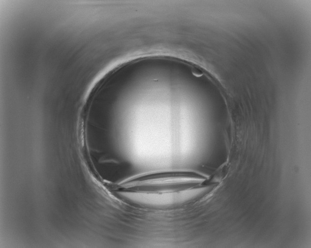 X0000062791510200601051032