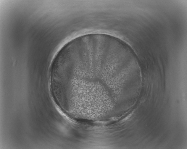 X0000062791511200601051032