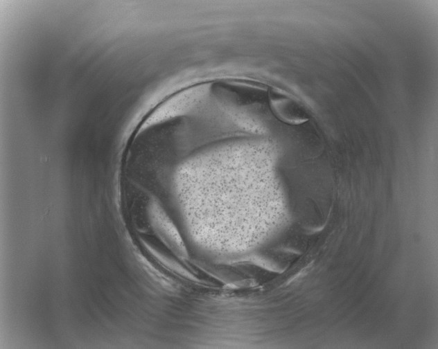 X0000062791512200601051032