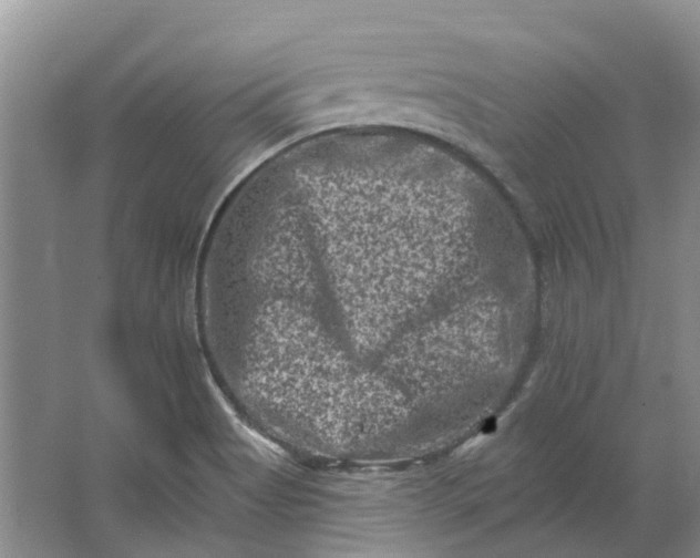 X0000062791513200601051032