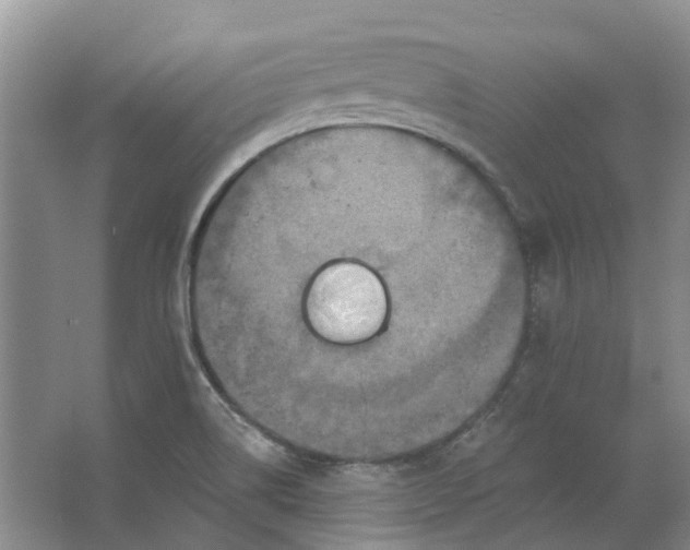 X0000062791514200601051032