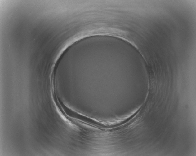 X0000062791515200601051032