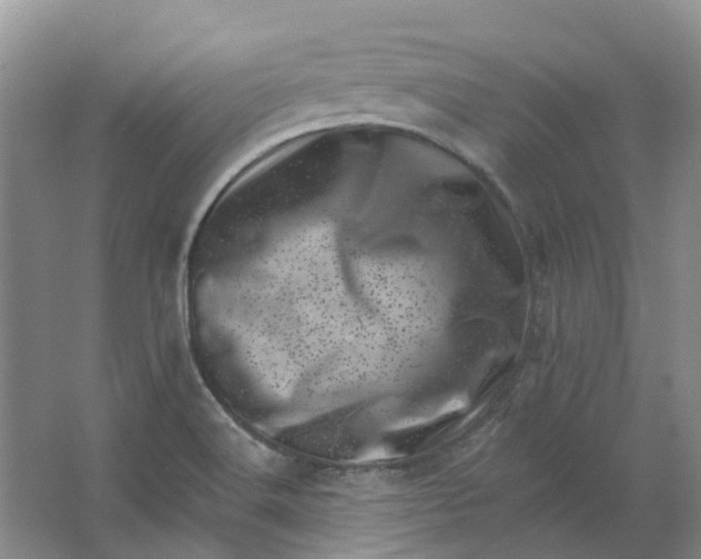 X0000062791516200601051032