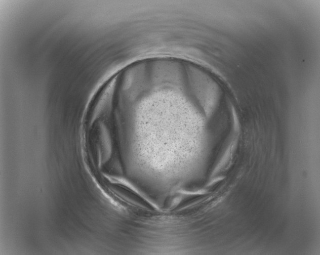 X0000062791517200601051032