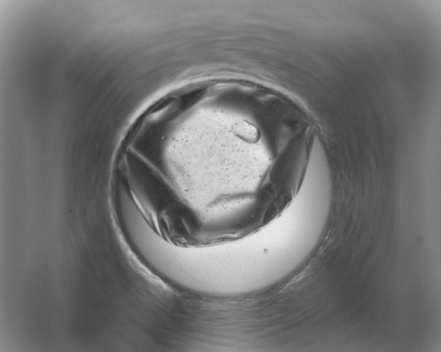 X0000062791518200601051032