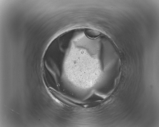 X0000062791519200601051032