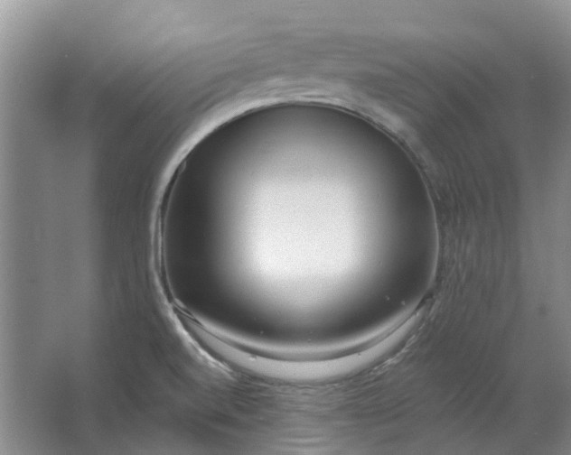 X0000062791520200601051032