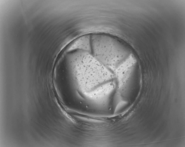 X0000062791521200601051032