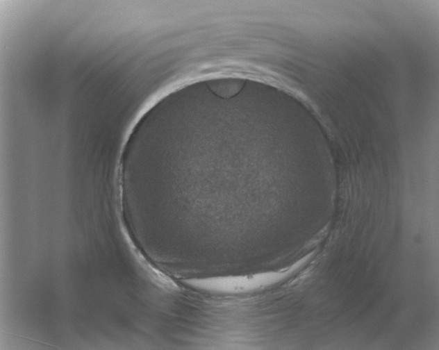 X0000062791522200601051032