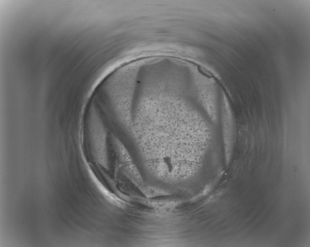 X0000062791523200601051032