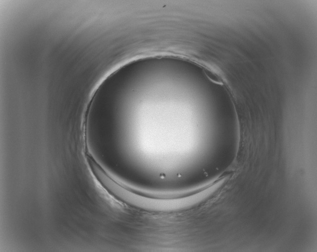 X0000062791524200601051032