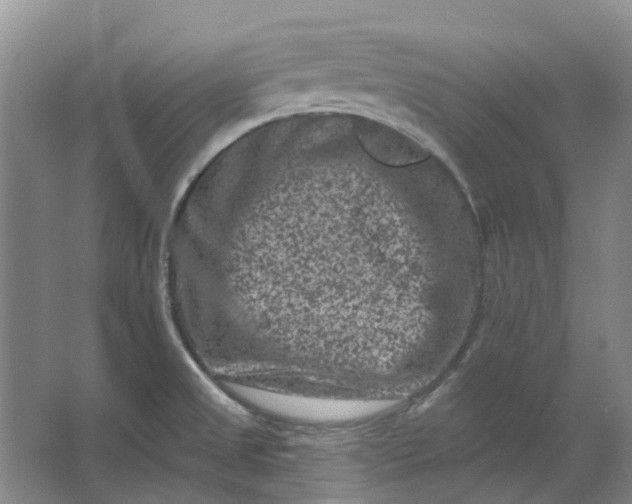 X0000062791525200601051032