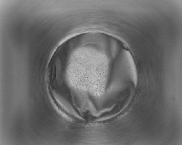 X0000062791526200601051032