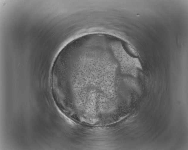 X0000062791527200601051032