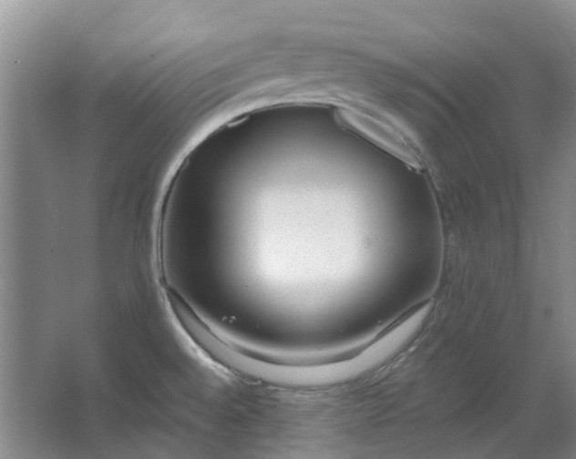 X0000062791528200601051032