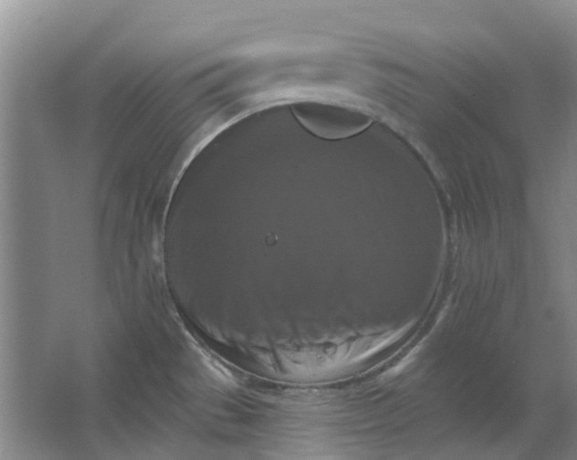 X0000062791529200601051032