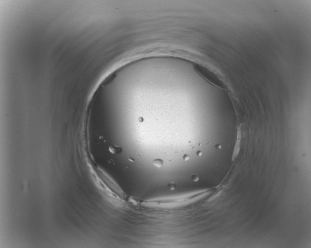 X0000062791530200601051032